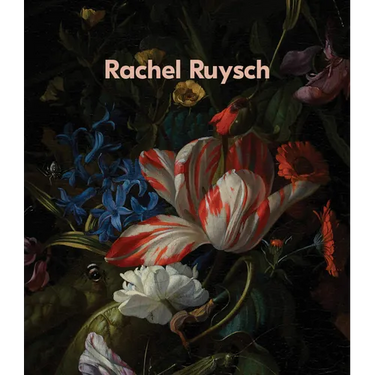Rachel Ruysch: Nature Into Art