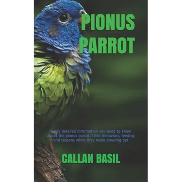 Pionus Parrot: Every detailed information you need to know about the pionus parrot. Their behaviors, feeding and reasons while they make amazing pet