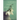 Living into Focus