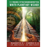 13 Moon Synchronometer: White Planetary Wizard year: July 26 2015 - July 25 2016