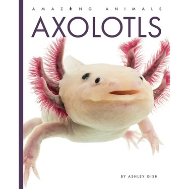 Axolotls