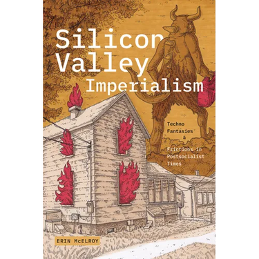 Silicon Valley Imperialism: Techno Fantasies and Frictions in Postsocialist Times