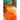 Conceptualizing the History of the Present Time