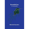 Beautiful Joe: An Autobiography