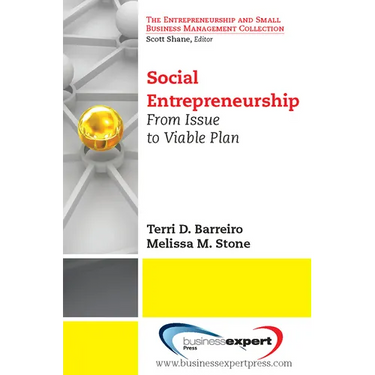 Social Entrepreneurship: From Issue to Viable Plan