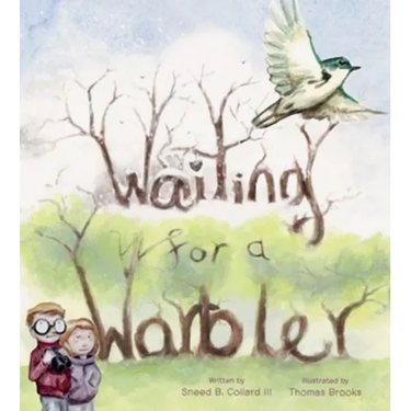 Waiting for a Warbler