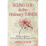 Seeing God in the Ordinary Things: 90 Days to Discover the Extraordinary Blessings of God