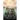 Know My Voice VII: The King, The Kingdom, The Citizens Recognizing and Entering The Kingdom
