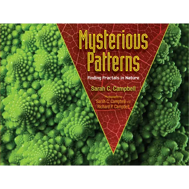 Mysterious Patterns: Finding Fractals in Nature