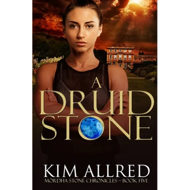A Druid Stone: A Time Travel Romance Adventure