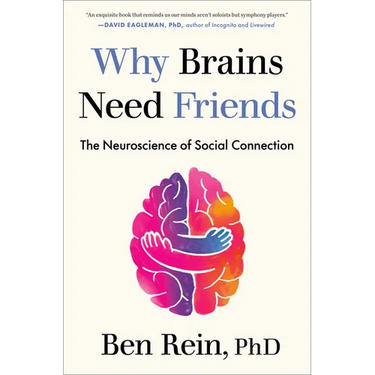 Why Brains Need Friends: The Neuroscience of Social Connection
