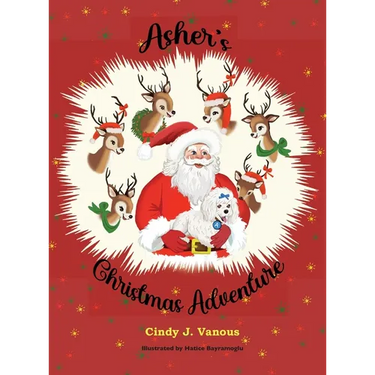 Asher's Christmas Adventure