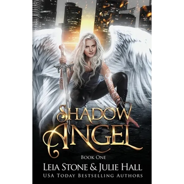 Shadow Angel: Book One
