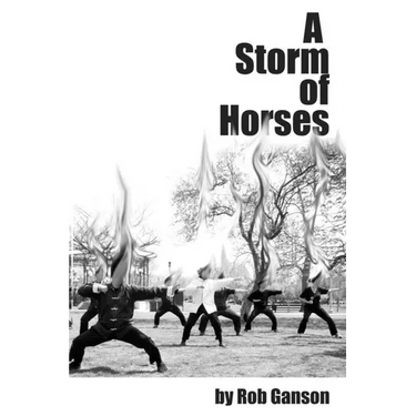 A Storm of Horses