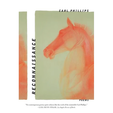 Reconnaissance: Poems