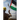 Poems of Palestine - A people's struggle for freedom and justice