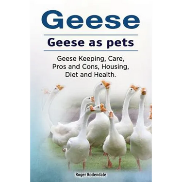 Geese. Geese as pets. Geese Keeping, Care, Pros and Cons, Housing, Diet and Health.