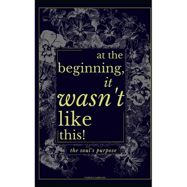 At The Beginning, It Wasn't Like This: The Soul's Purpose