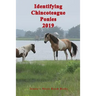 Identifying Chincoteague Ponies 2019