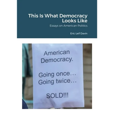 This Is What Democracy Looks Like: Essays on American Politics