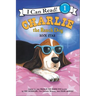 Charlie the Ranch Dog: Rock Star