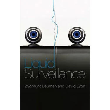 Liquid Surveillance: A Conversation
