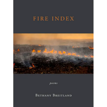 Fire Index: Poems