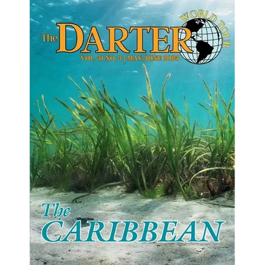 The Darter: Vol 51, No 3