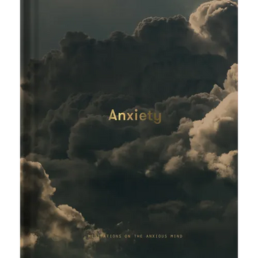 Anxiety: Meditations on the Anxious Mind
