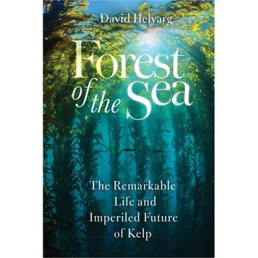 Forest of the Sea: The Remarkable Life and Imperiled Future of Kelp