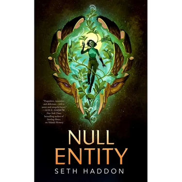Null Entity