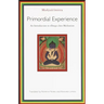 Primordial Experience: An Introduction to Dzog-Chen Meditation