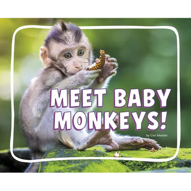Meet Baby Monkeys!