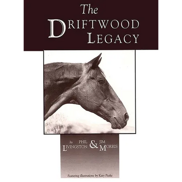 Driftwood Legacy: A Great Usin' Horse and Sire of Usin' Horses