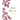 Jesus Always, Large Text Cloth Botanical Cover, with Full Scriptures: Embracing Joy in His Presence (a 365-Day Devotional)