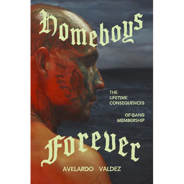 Homeboys Forever: The Lifetime Consequences of Gang Membership