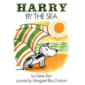 Harry by the Sea