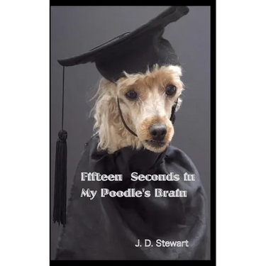 Fifteen seconds in My Poodle's Brain