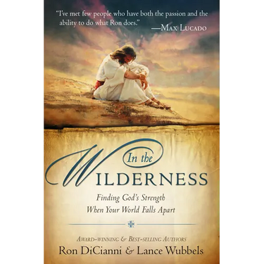 In the Wilderness: Finding God's Strength When Your World Falls Apart