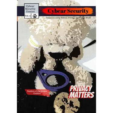 Cybear Security: Privacy Matters