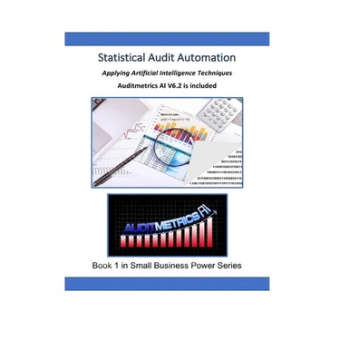 Statistical Audit Automation: Applying Computer Assisted Audit Techniques