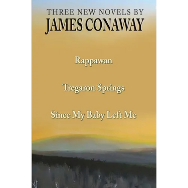 Three Short Novels: Rappawan, Tregaron Springs, Since My Baby Left Me