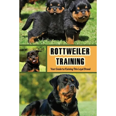 Rottweiler Training: Your Guide to Raising This Loyal Breed: How To Raise A Rottweiler?