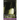 Fragments of Truth