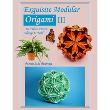 Exquisite Modular Origami III