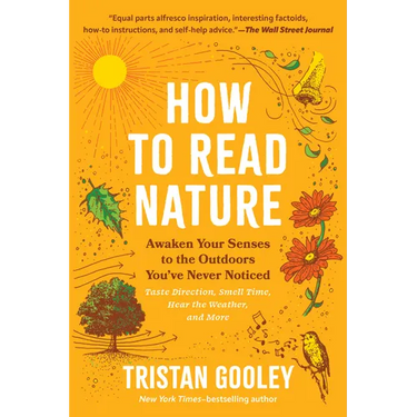 How to Read Nature: Awaken Your Senses to the Outdoors You've Never Noticed