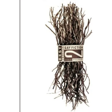 Best American Gay Fiction #2