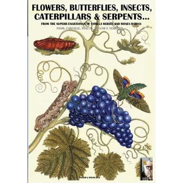 flowers, butterflies, insects, caterpillars & serpents...: From Sybilla Merian & Moses Hariss XVII-XVIII Centuries engravings
