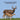 New Hampshire Animals and Mammals Kids Wildlife Book: Great Wildlife Book about Animals and Mammals in New Hampshire