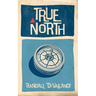 True North